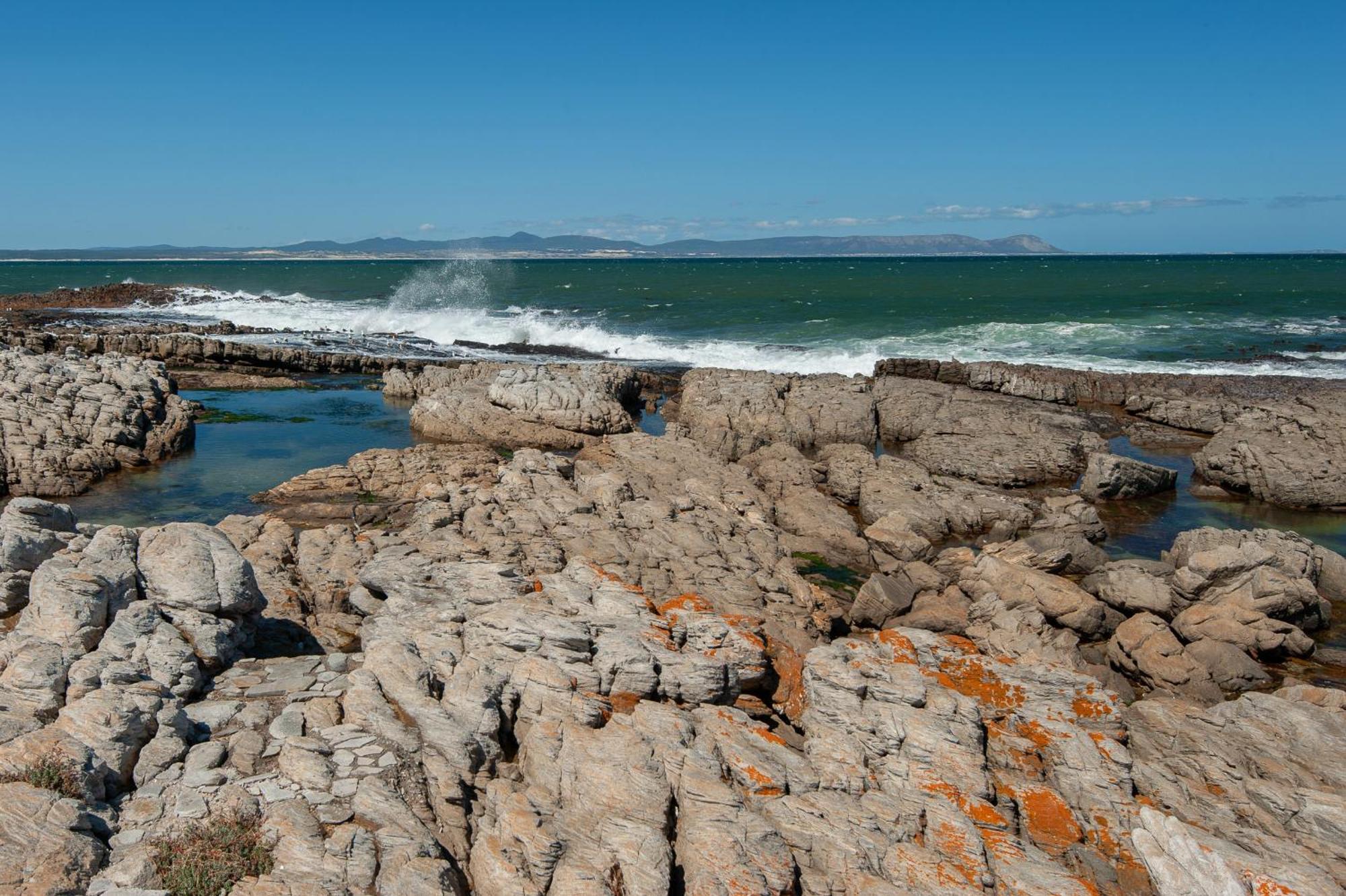 63 Whalerock Estate Apartment Hermanus Bagian luar foto
