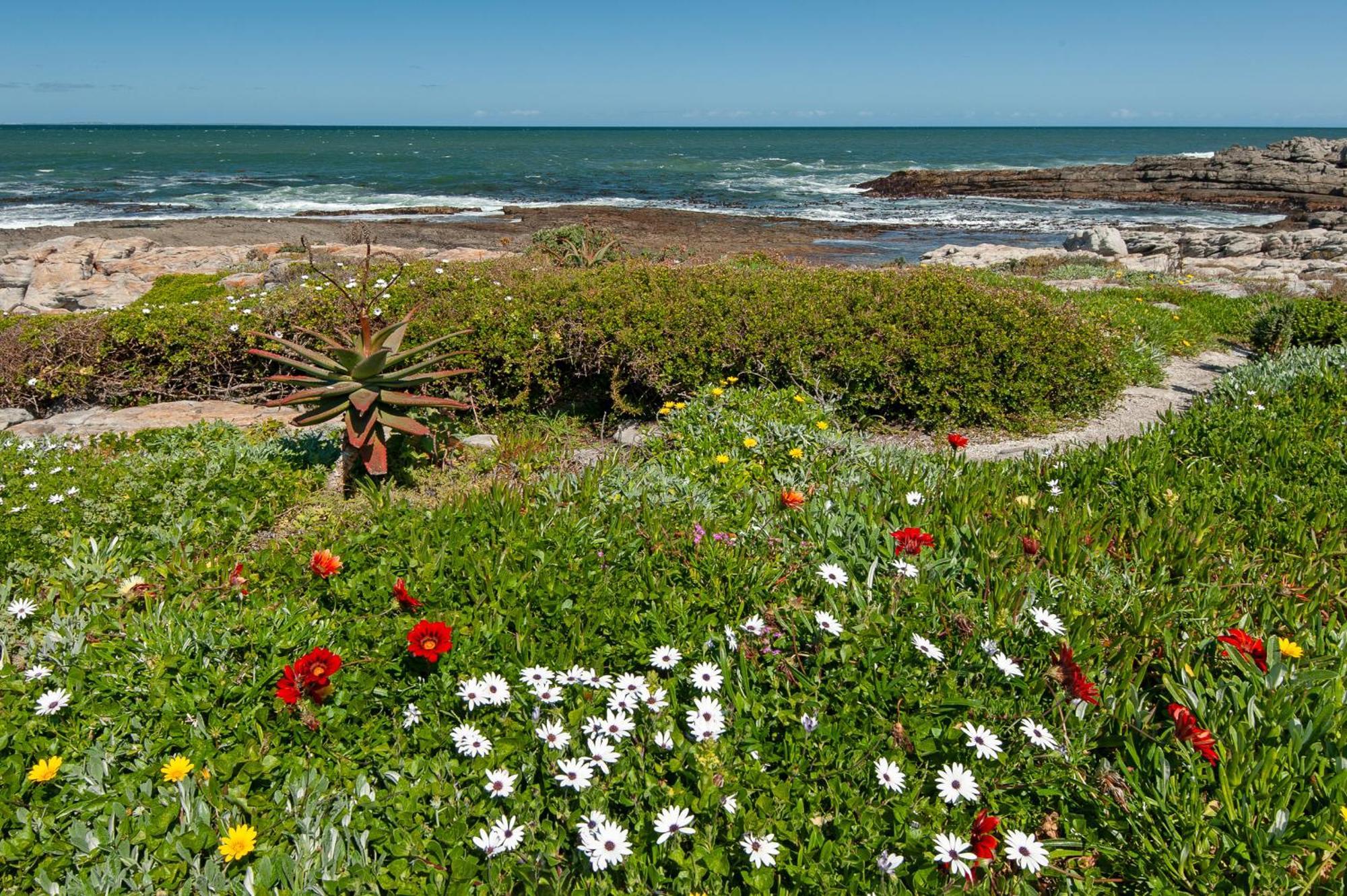 63 Whalerock Estate Apartment Hermanus Bagian luar foto